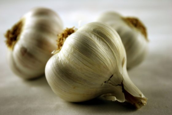 Growing garlic in your backyard