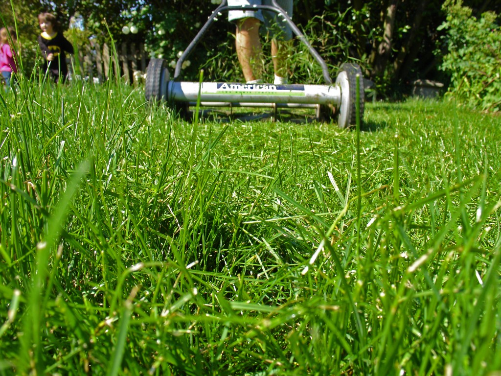 Yard Tools Maintenace