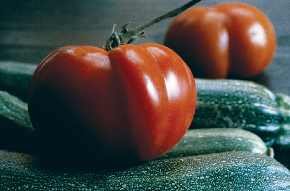 san diego vegetable gardens tomatoes