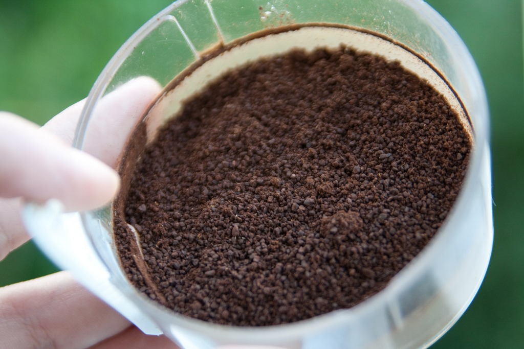 coffee grinds in the garden coffee grinds in the garden
