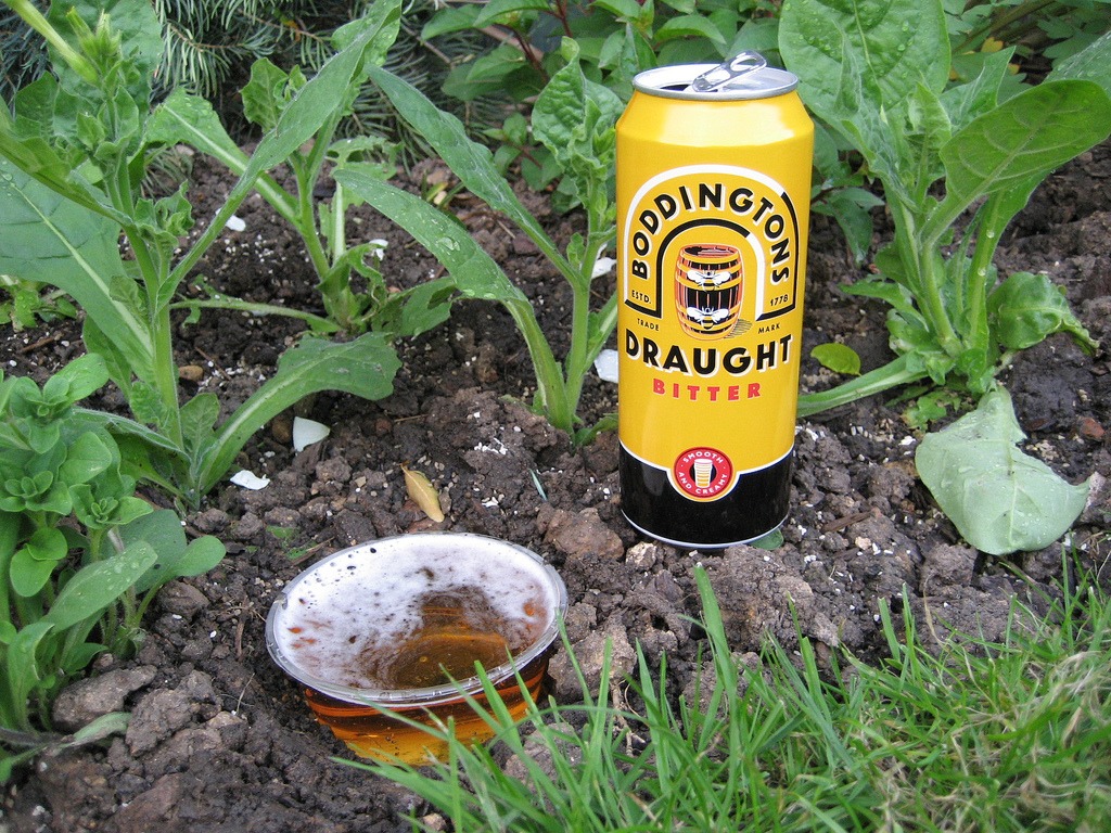 garden hacks snail beer