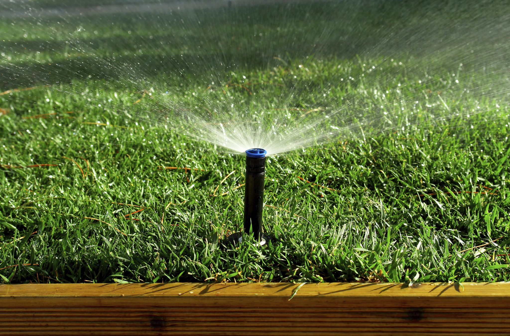 35 Easy Ways to Save Water Around the House