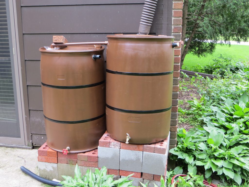 rain barrels and goldfish