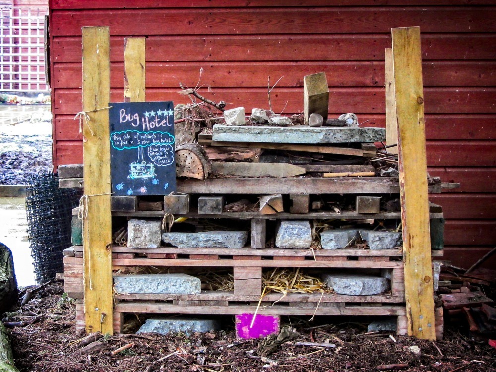 bug hotel sign