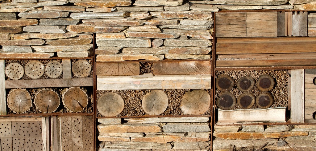 insect hotel wall