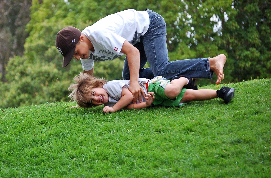 natural playspace grassy hill