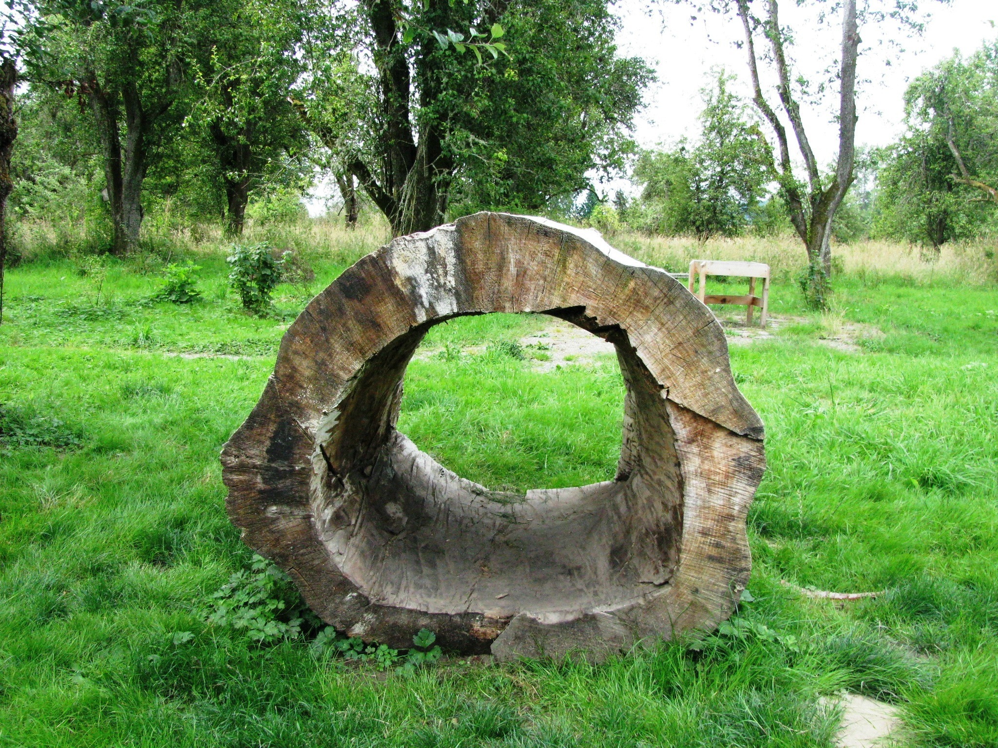 natural playspace tunnel