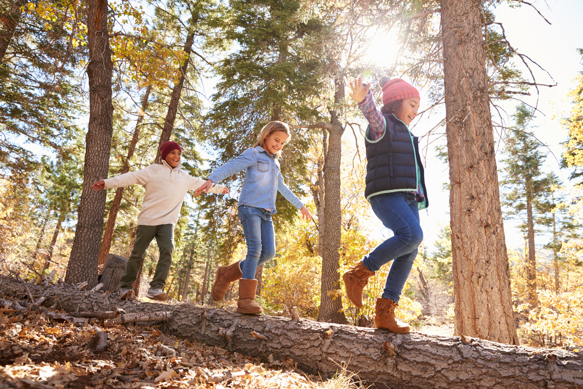 Backyard Ideas Kid-Friendly