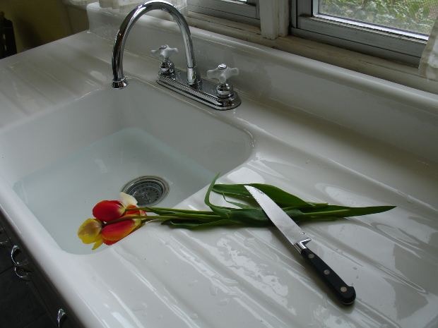 Cutting Flowers