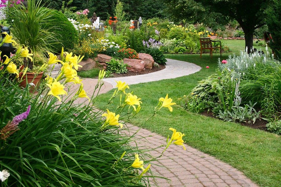 The Difference Between Annuals, Perennials and Biennials