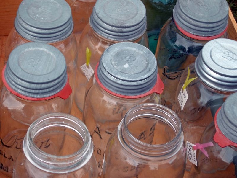 Vintage Mason Jars