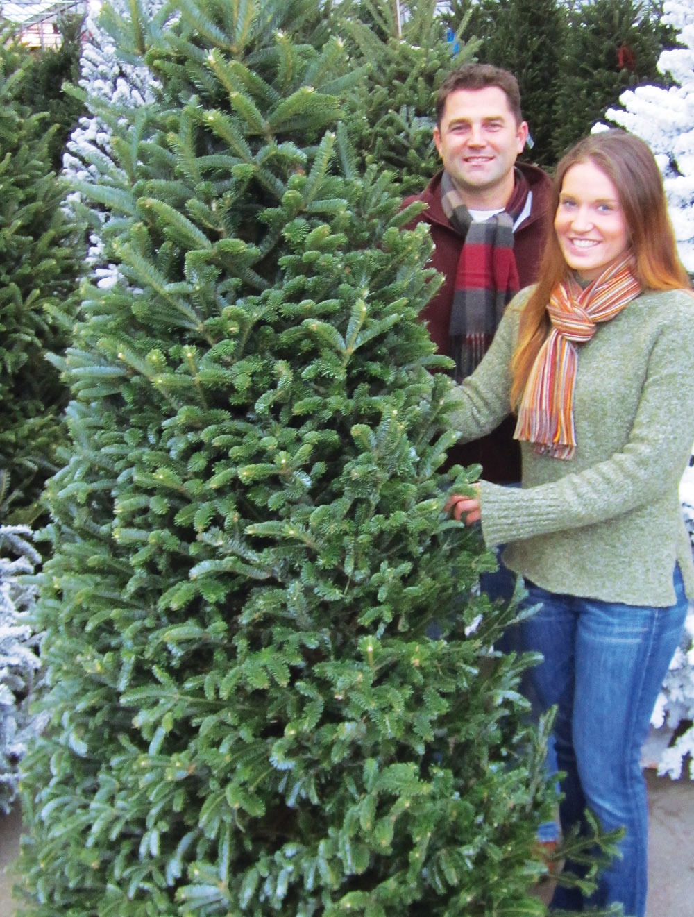 how to make your christmas tree last longer