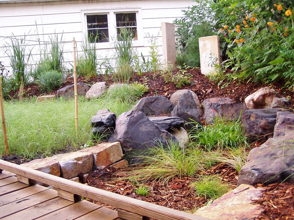 A bridge in a rain garden