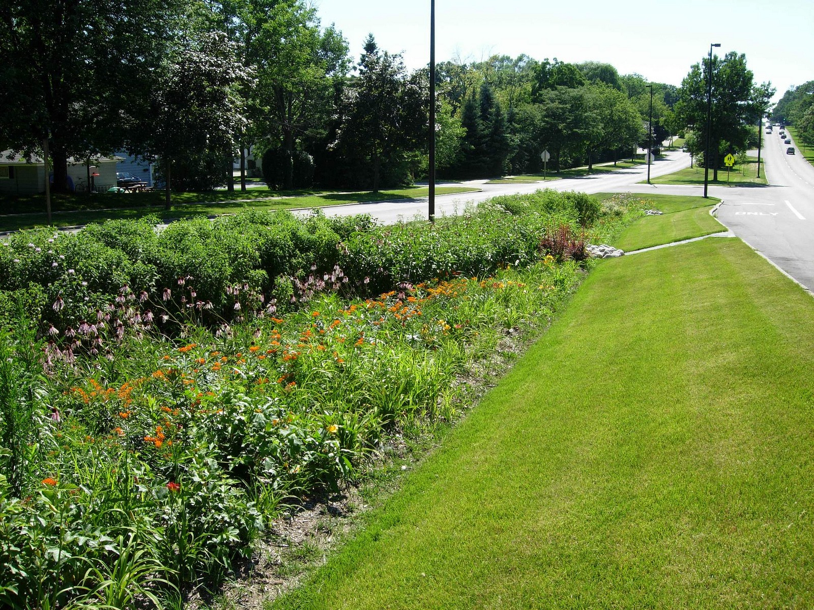 how to build a rain garden