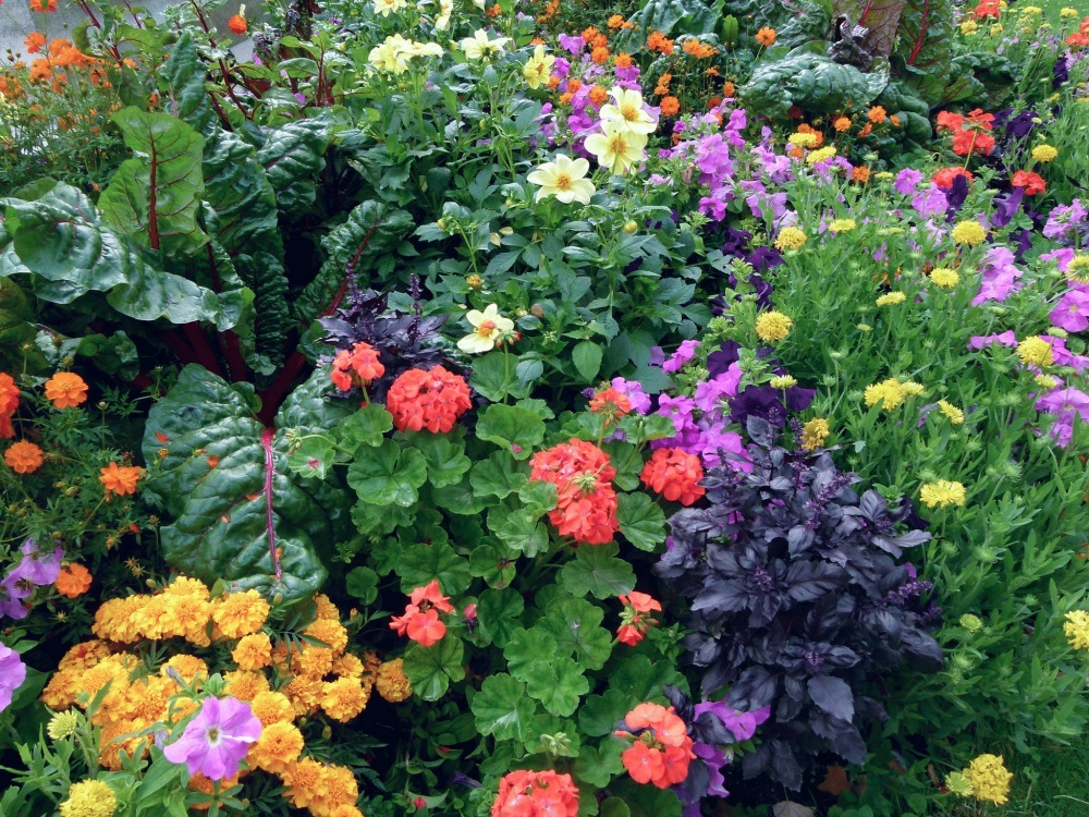 Mix edibles with ornamentals for a beautiful garden