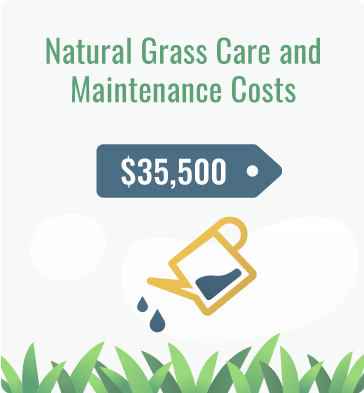 natural grass maintenance cost