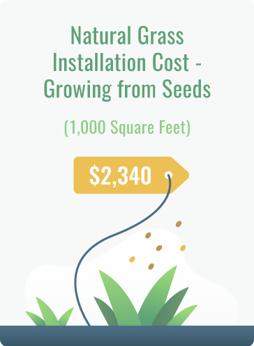 grow natural grass with seeds cost