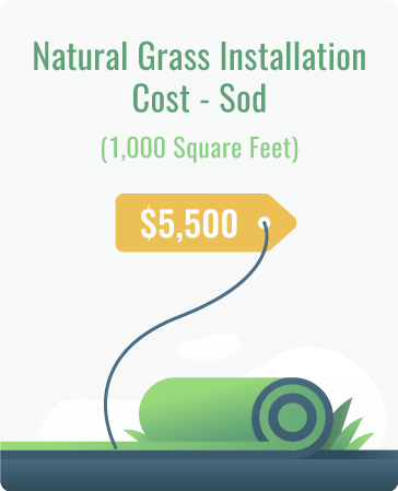 natural grass installation cost