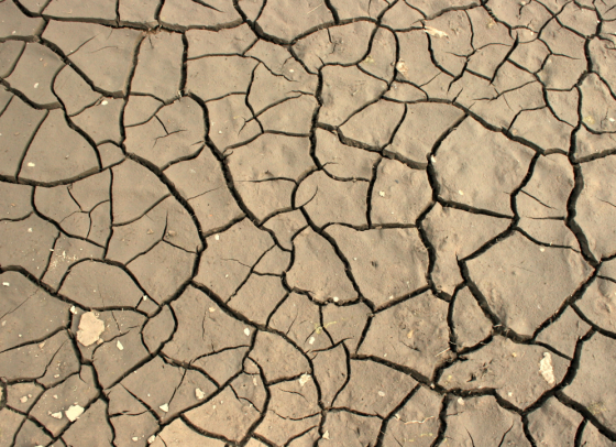 Drought in California