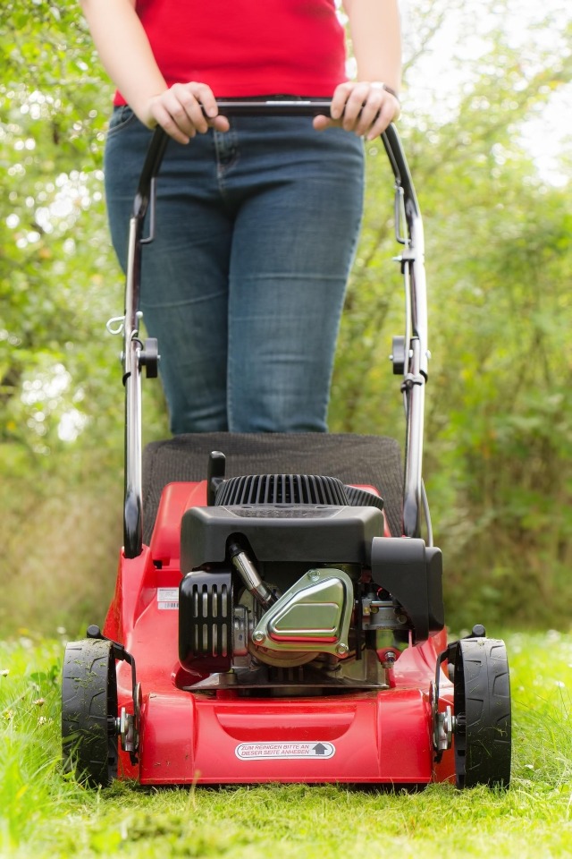 Lawn Mower