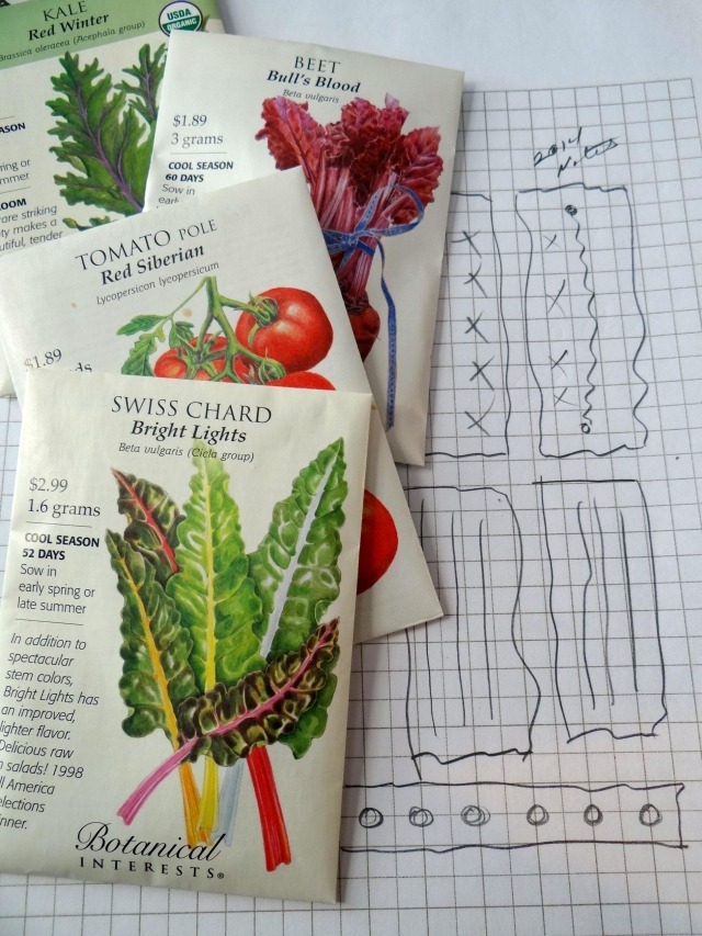Seed Packets and Garden Plan