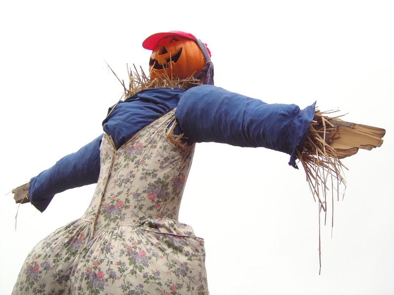 How to Host an Outdoor Halloween Party