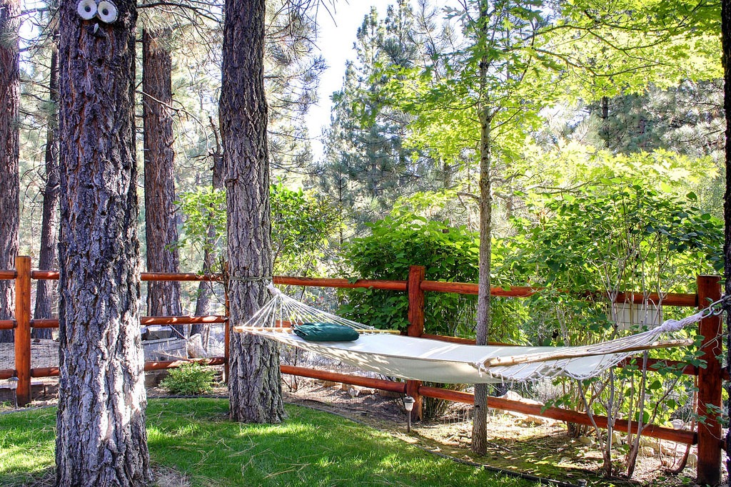 Backyard Outdoor Hammocks