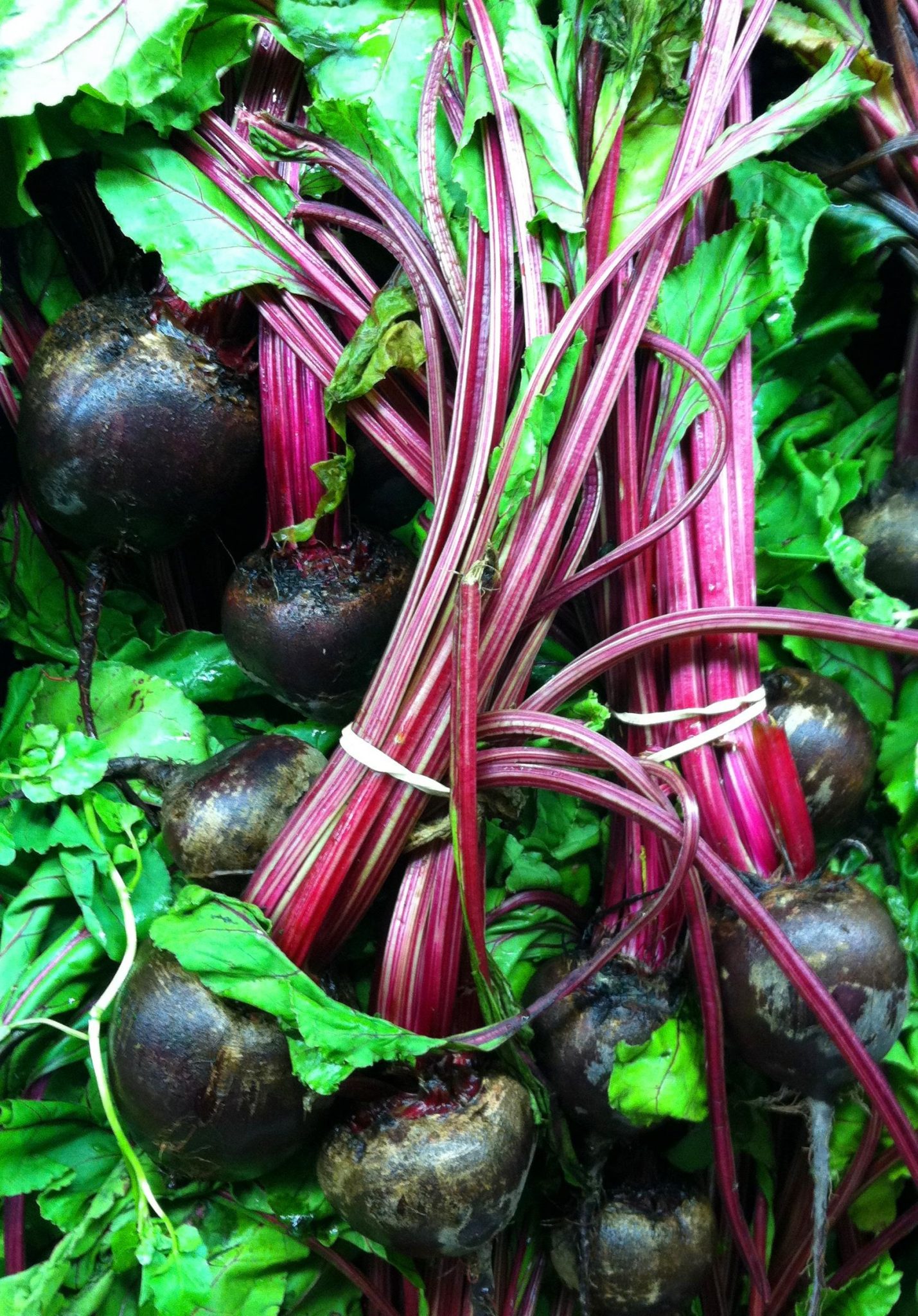 how to grow a green drink garden