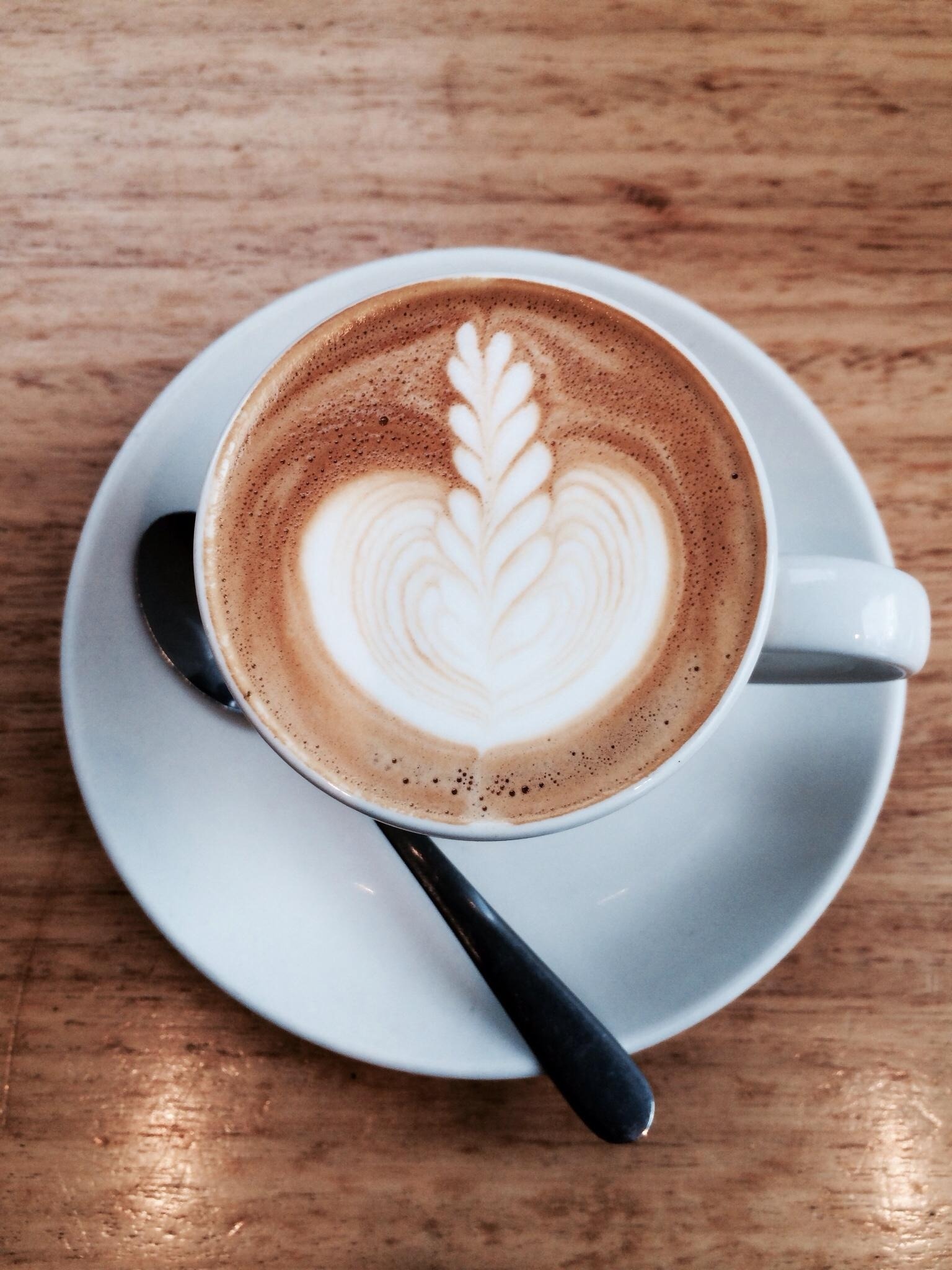 Coffee Grounds Add Nitrogen to Soil
