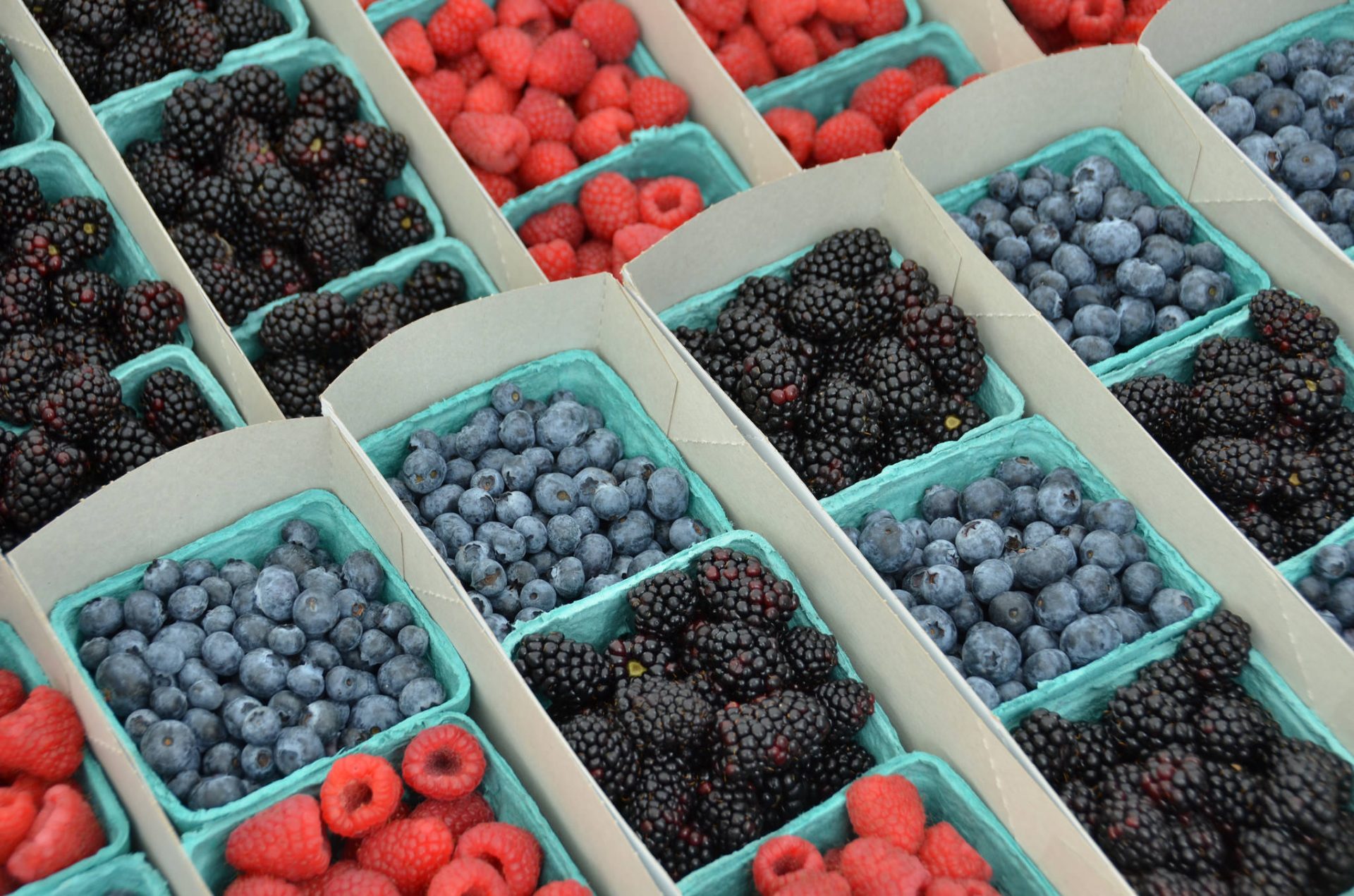 How to Grow Berries in Southern California Guide {PRO Tips} Install