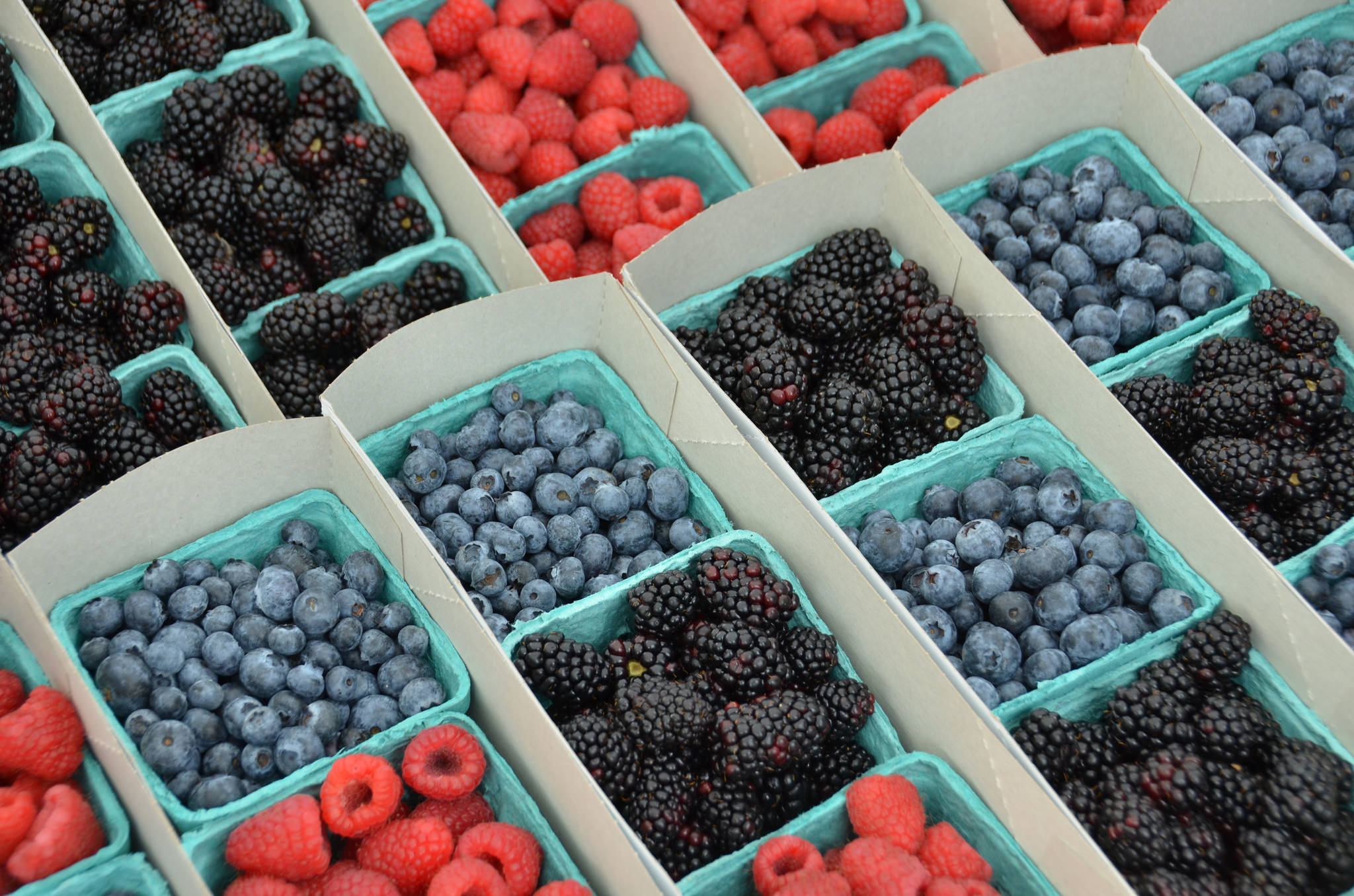How to Grow Berries in Southern California