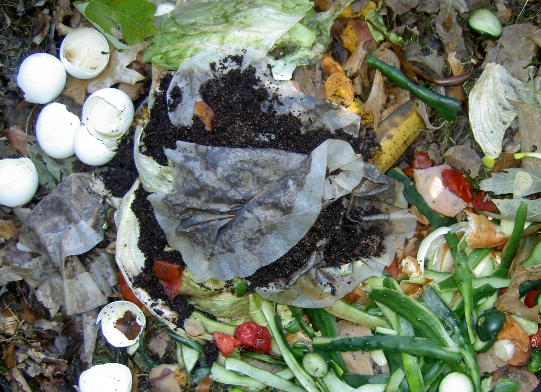 Kitchen Scraps Make Great Compost