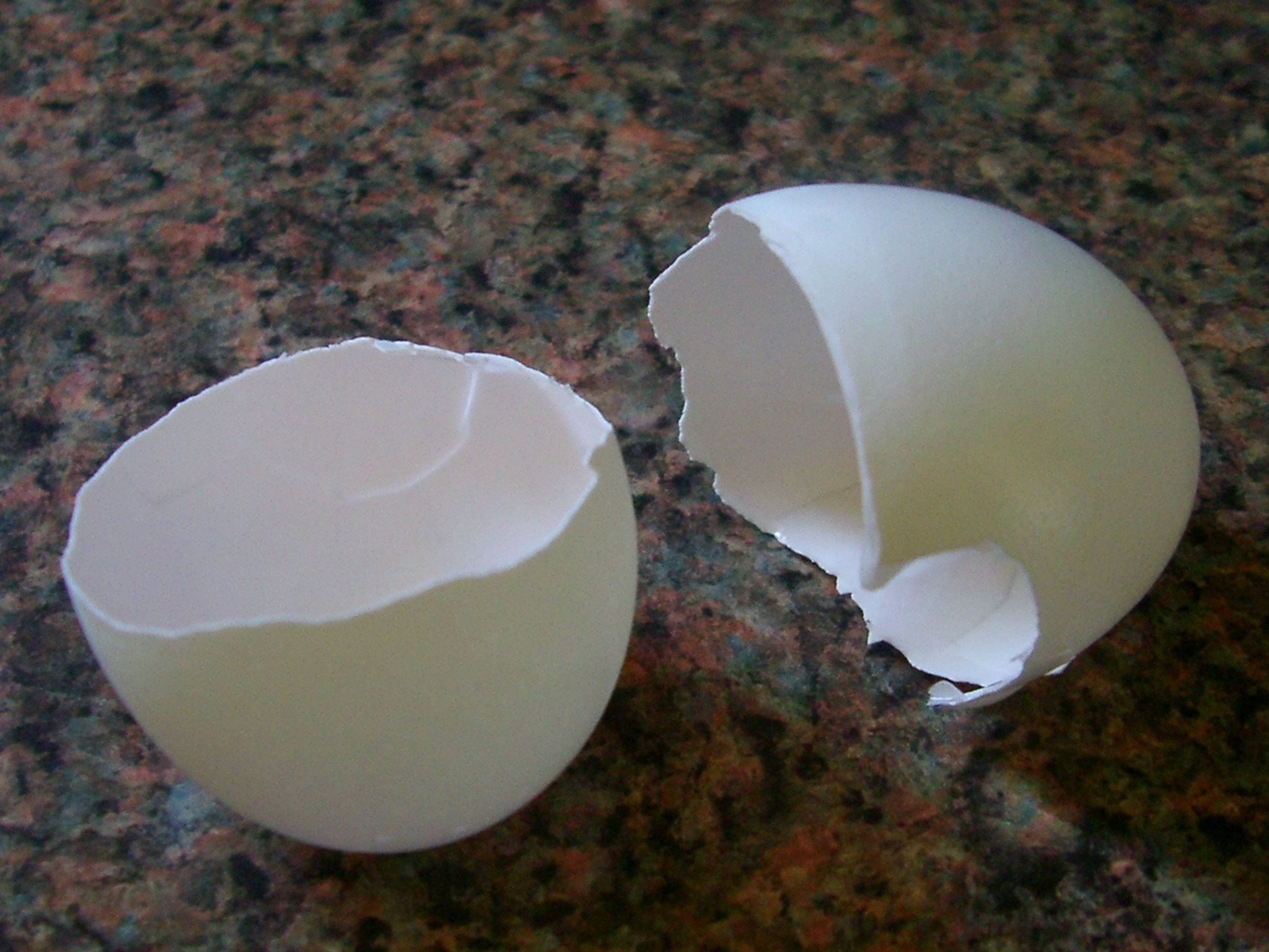 Make Eggshell Tea for Your Garden