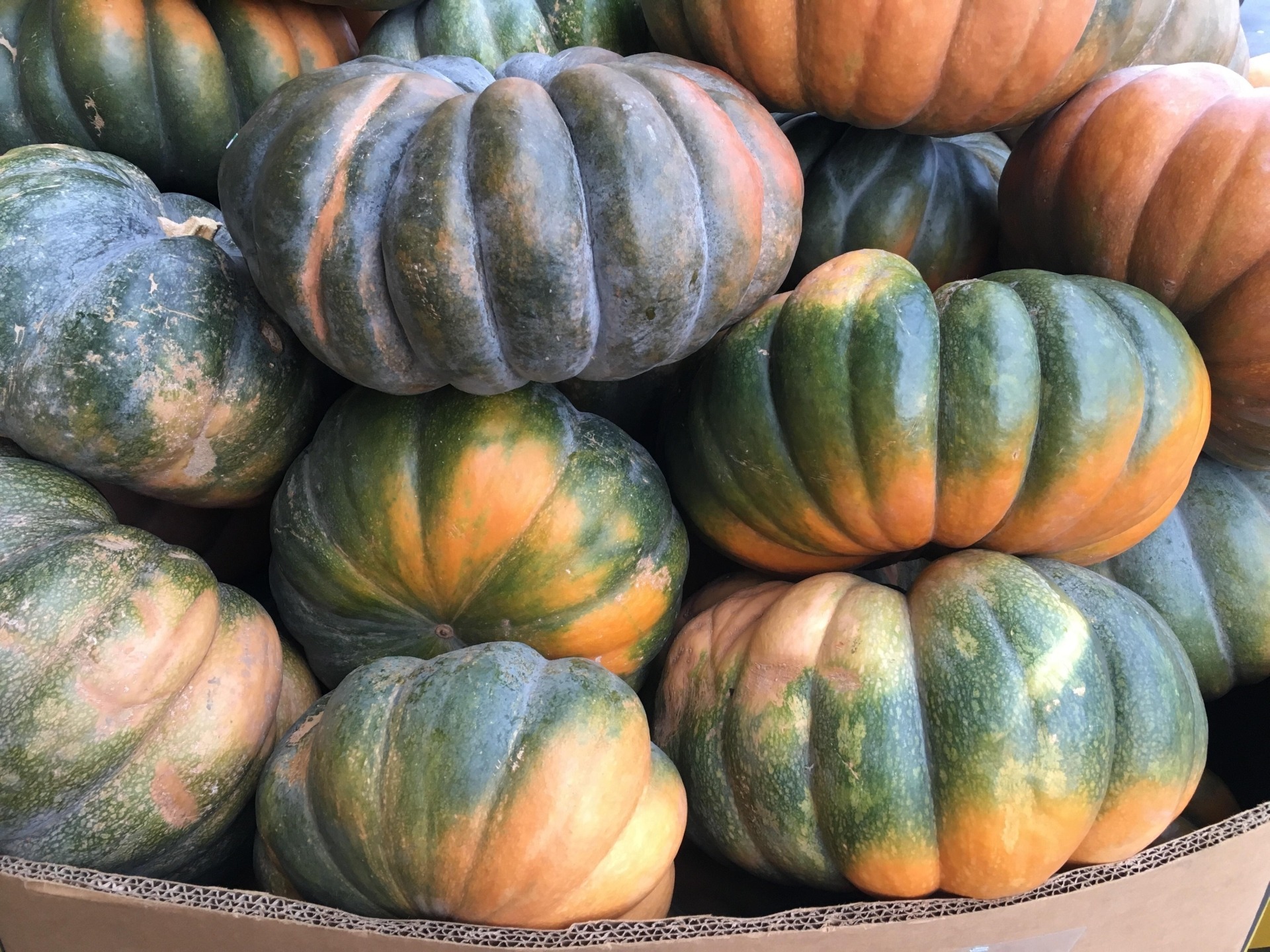 Green and Orange Pumpkins
