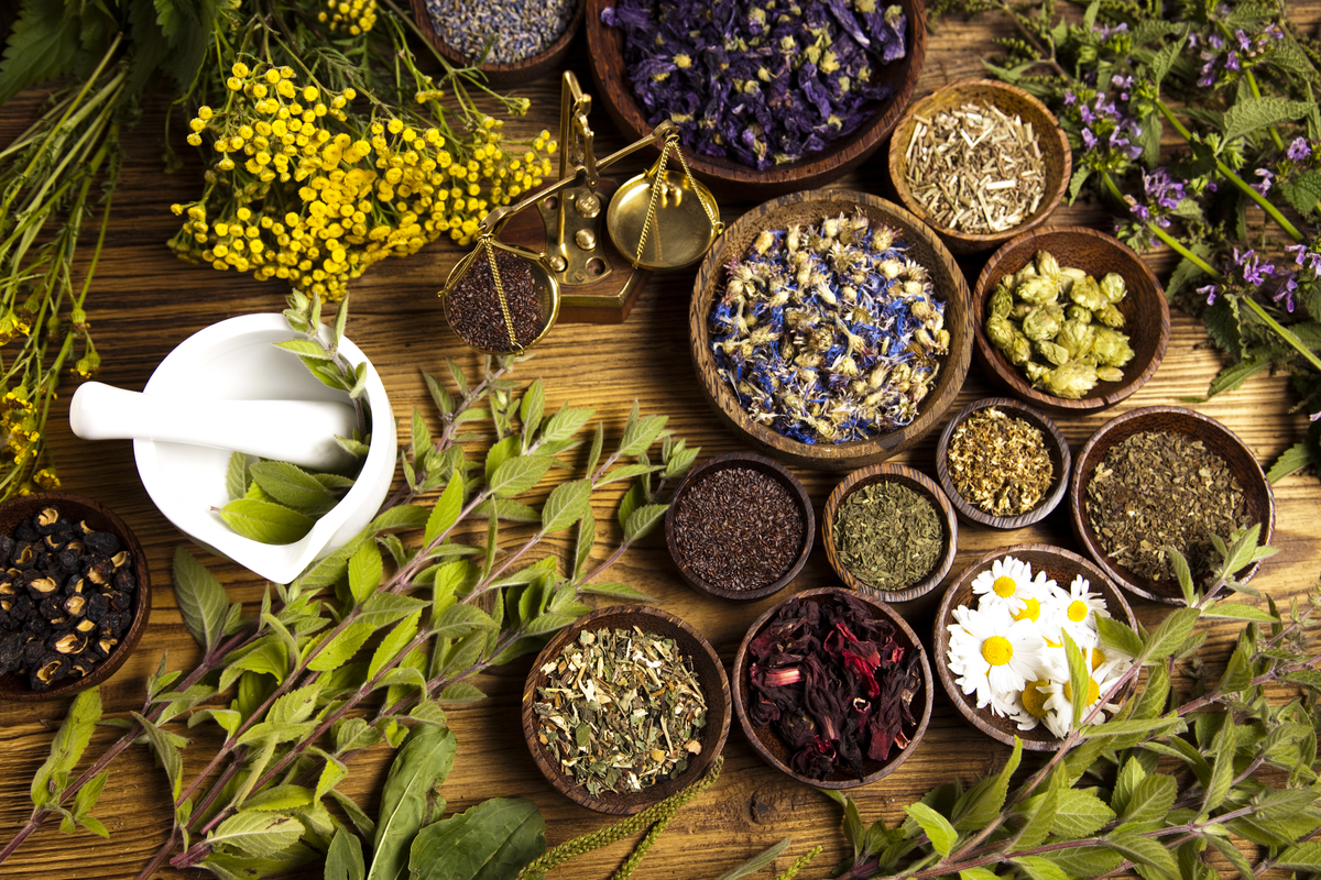 Drought-Tolerant Herbs for Southern California Gardens Tips