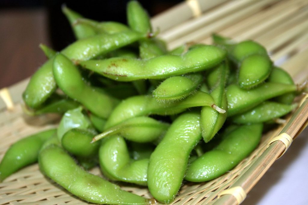 How to Grow Edamame Beans in Your Backyard (Guide) InstallItDirect