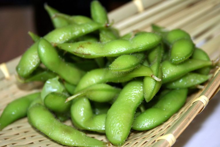 How to Grow Edamame Beans in Your Backyard (Guide) InstallItDirect