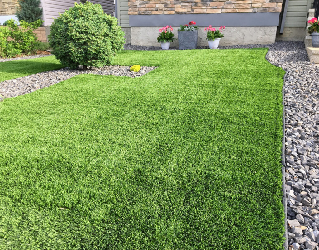 10 DroughtTolerant Ground Covers Full Sun InstallItDirect