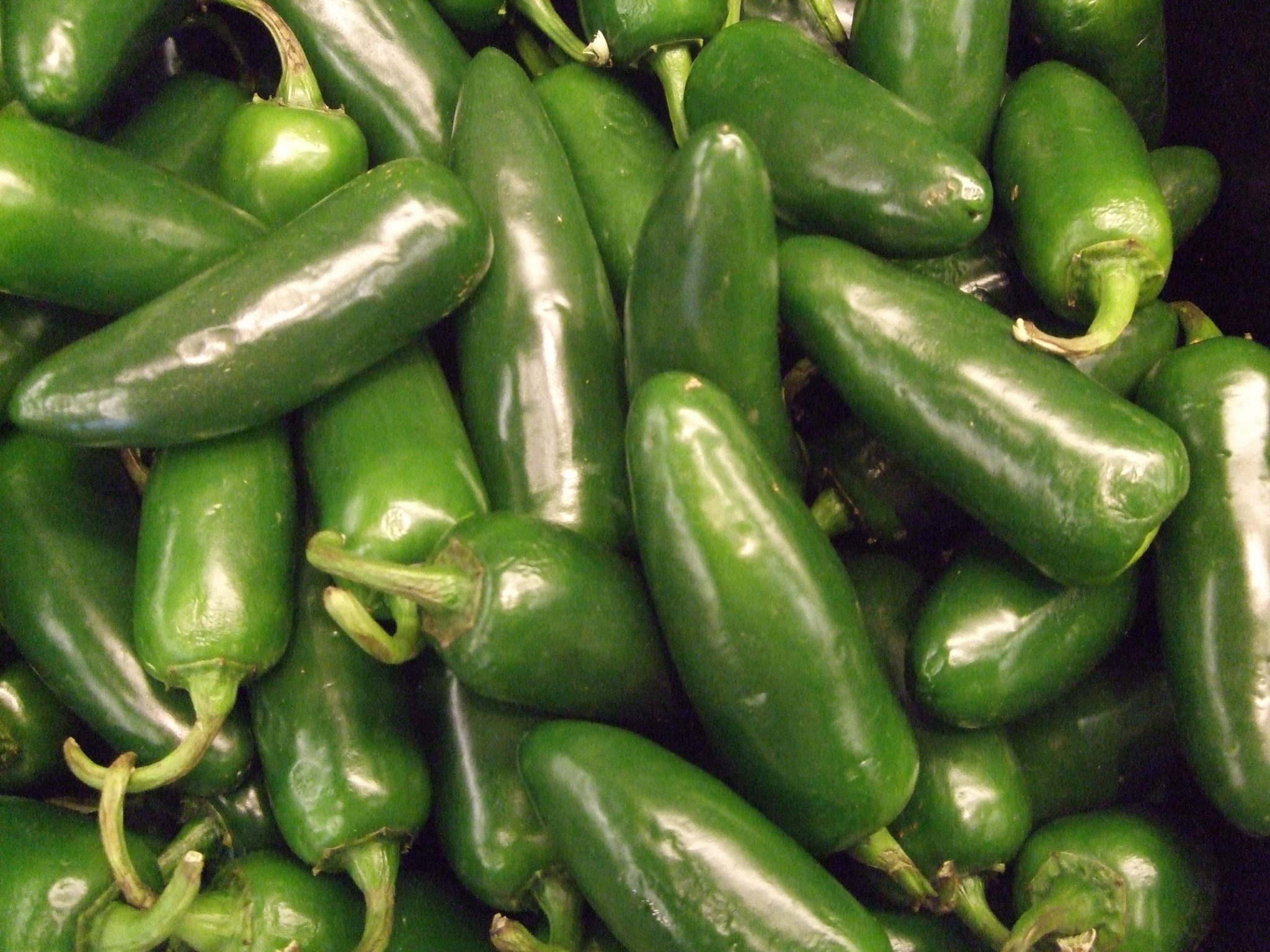 How to grow Peppers