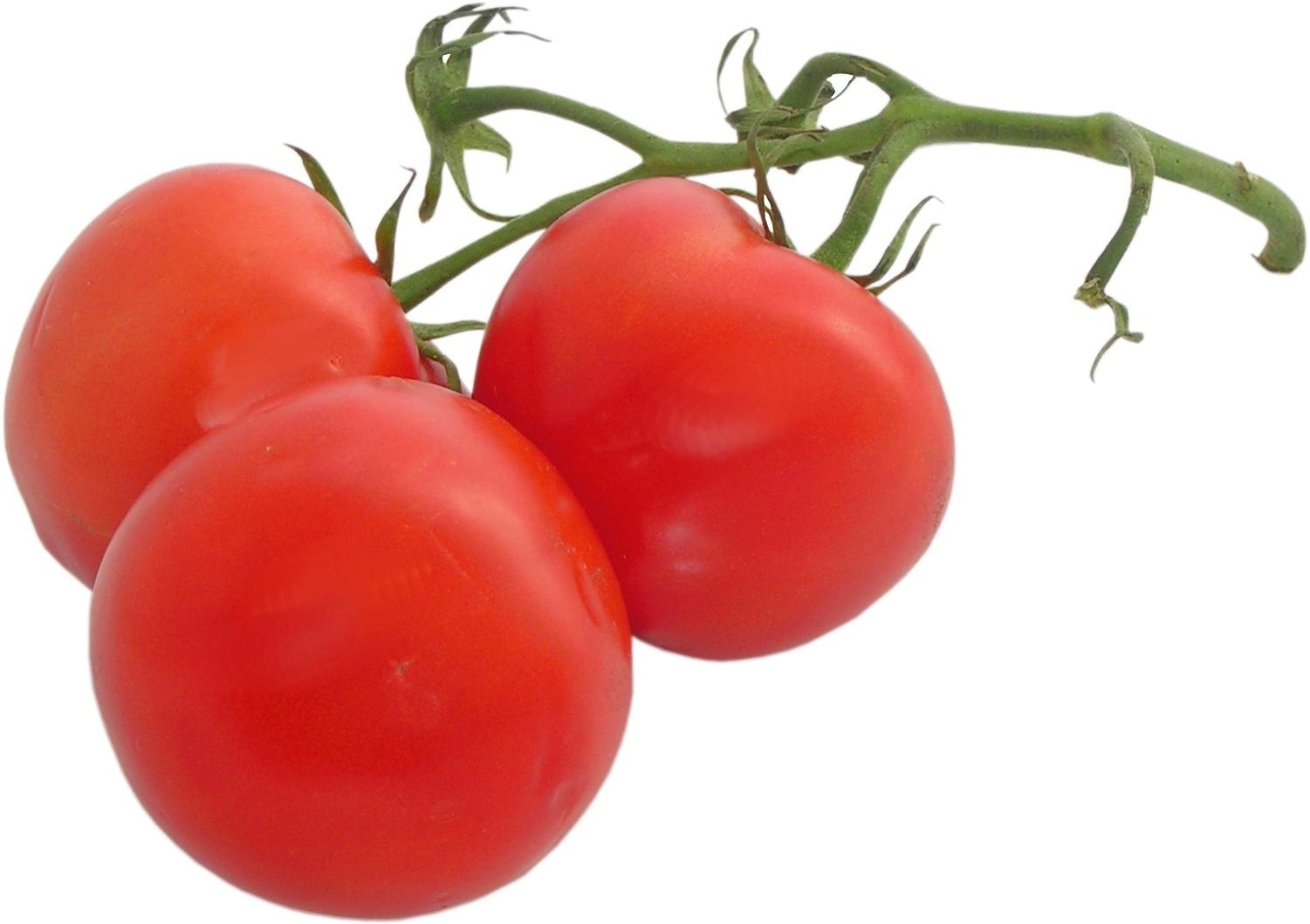 Grow Tomatoes for Juicing