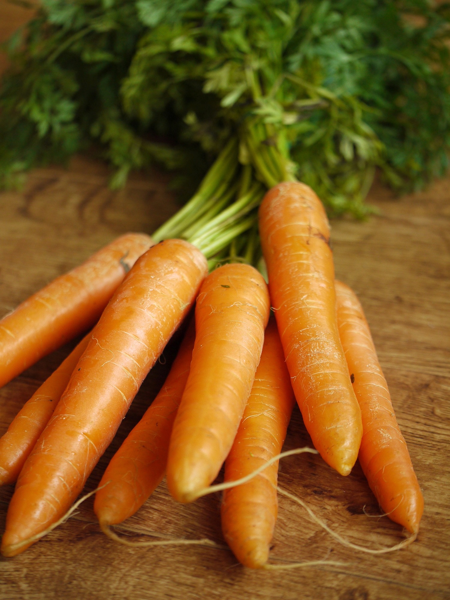 Juicing Garden Carrots