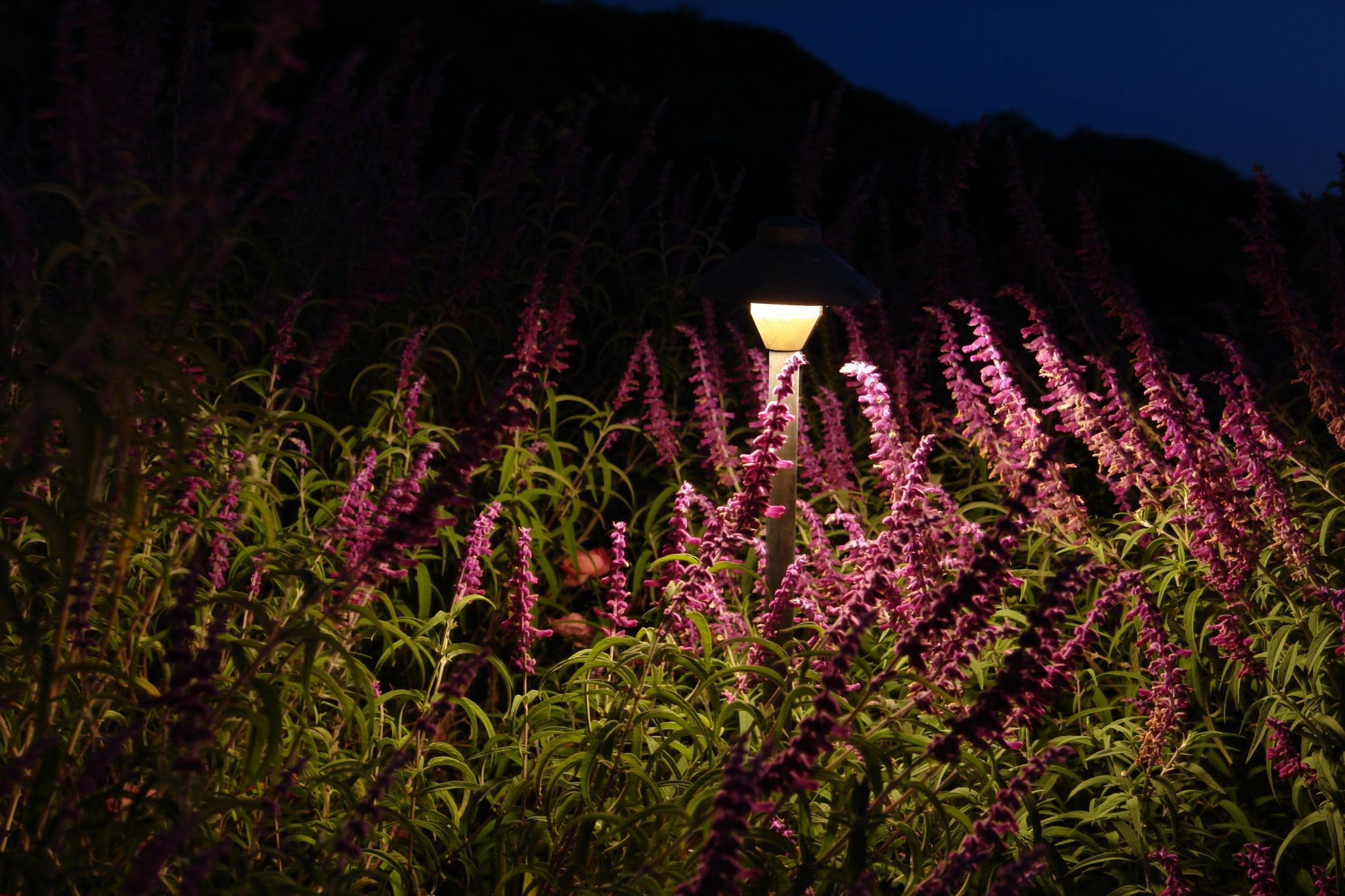 Outdoor Lighting