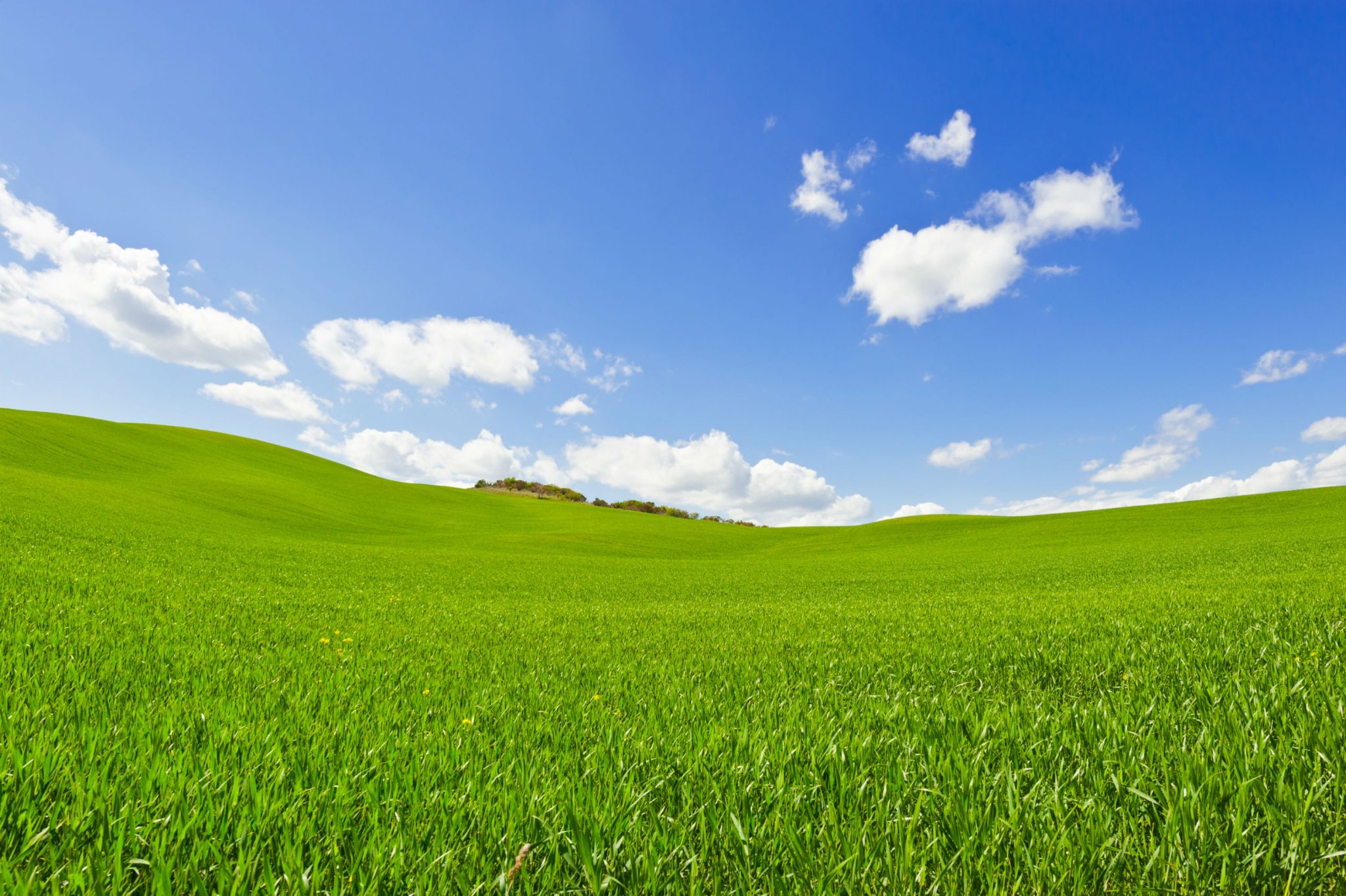 artificial grass on a slope