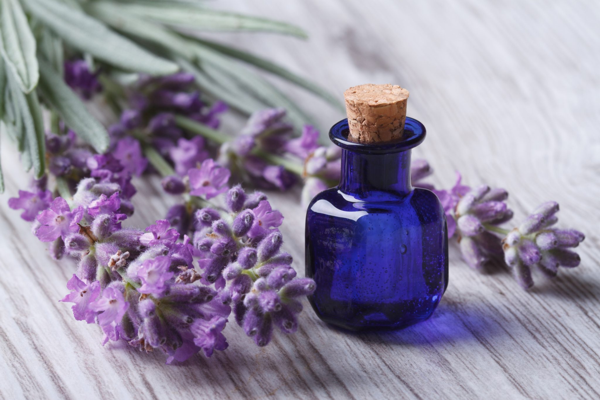 essential oils lavender