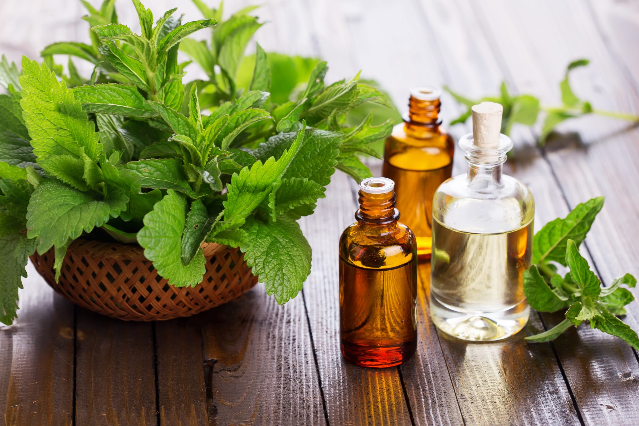 essential oils peppermint