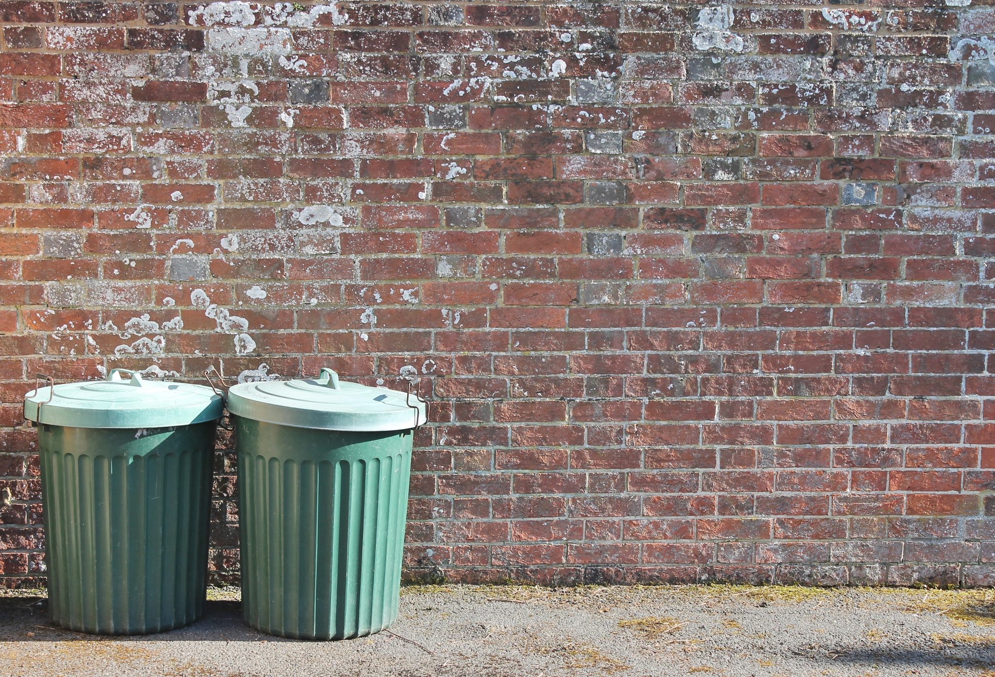 trash can bin cleaning