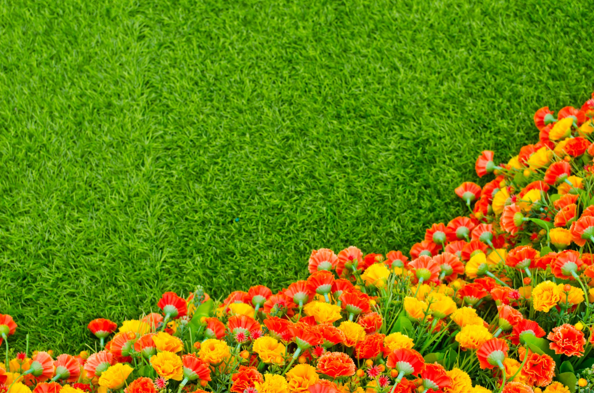 artificial grass real plants