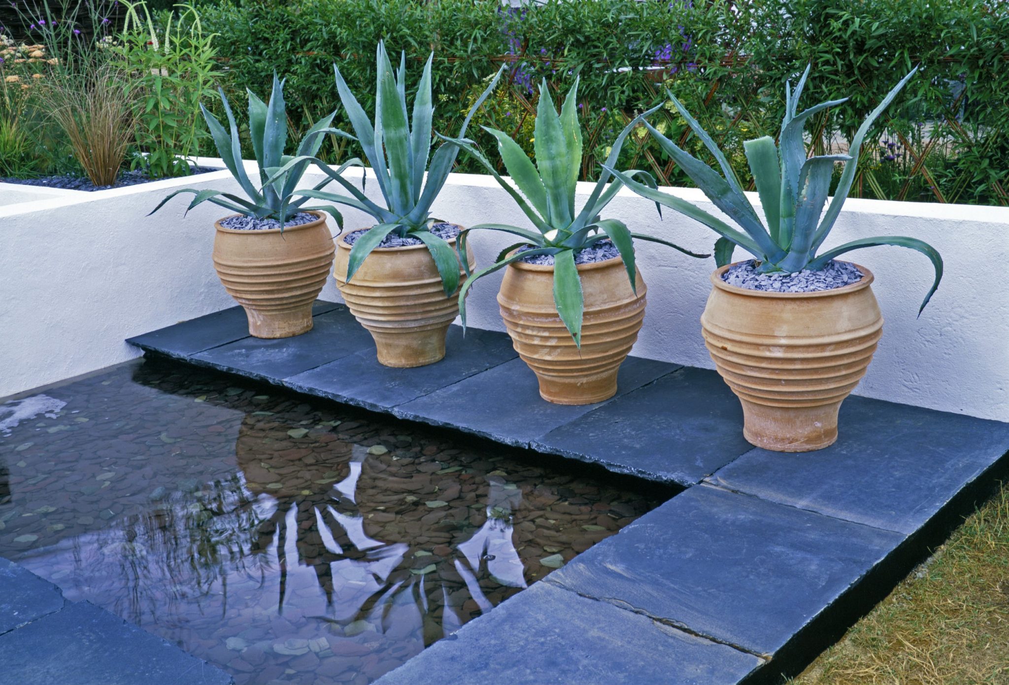 How to Choose Pots for a Patio Container Garden (PRO Tips + Ideas How to Choose Pots for a Patio Container Garden (PRO Tips + Ideas
