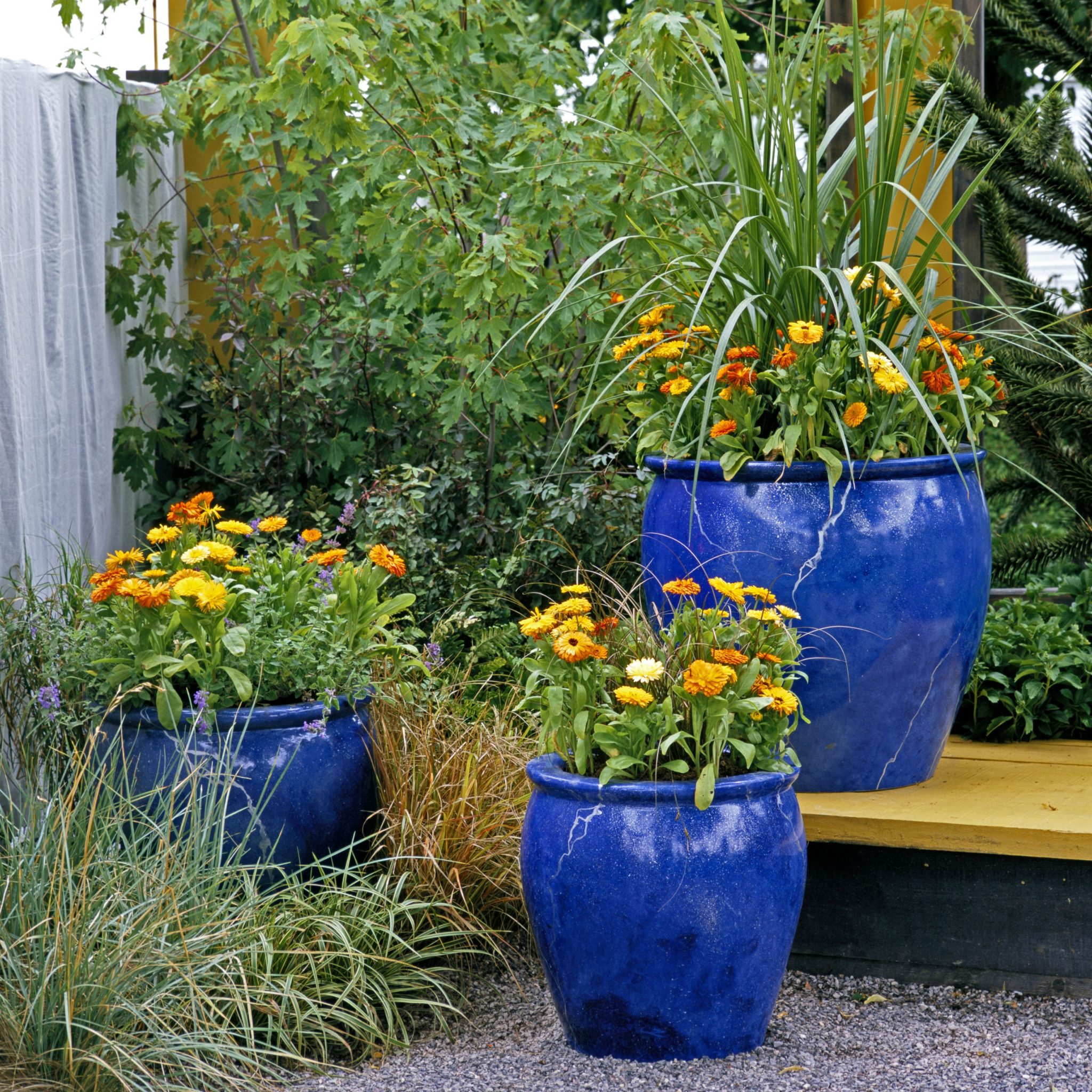 container gardening patio pots
