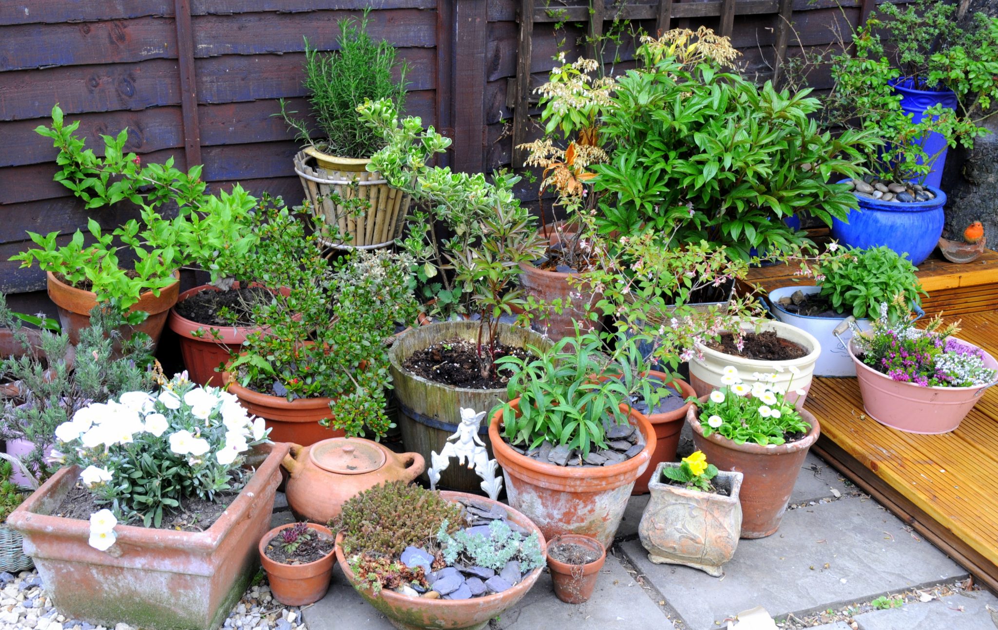 pots for container garden